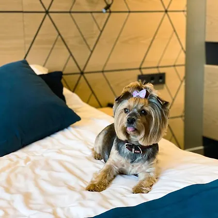 Hotel Kalev & Waterpark