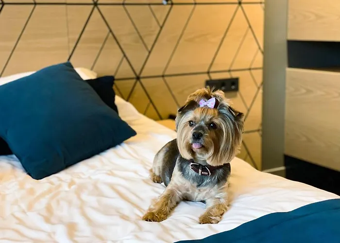 Hotell Kalev Hotel&waterpark